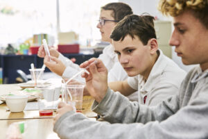 Middle school boys in science